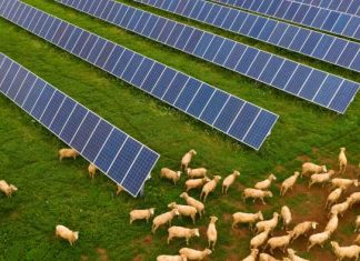 Australia sets up a $650 million fund for domestic solar panel manufacturing