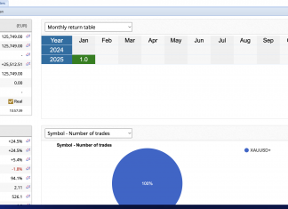 GoldScalper EA: Begins 2025 with a bang. Already +1% up on first trading day of the new year. December 2024 returns closed with +23.5%