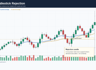 Candlestick Patterns That Actually Matter In Forex Candlestick rejection chart showing wick response near support