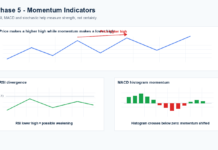 Indicators and Patterns Tutorial: Phase 5 – Momentum Indicators Momentum indicator tutorial diagram showing RSI divergence and MACD histogram momentum